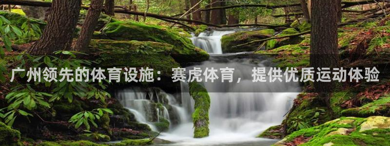 意昂3官方：广州领先的体育设施：赛虎体育，提供优质运