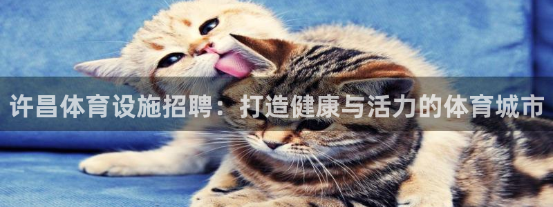 意昂3娱乐下载：许昌体育设施招聘：打造健康与活力的体