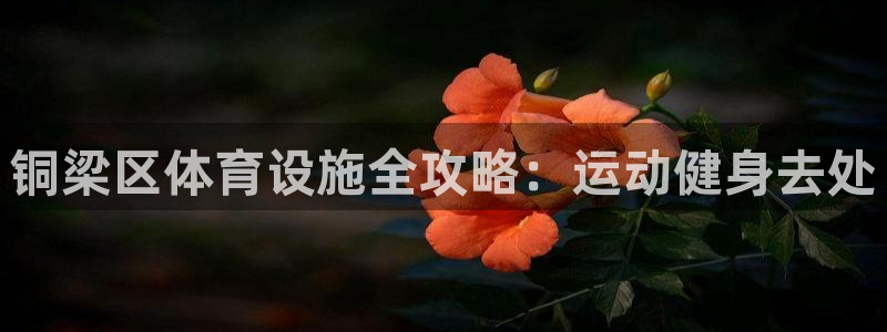 意昂体育3招商电话号码是多少号：铜梁区体育设施全攻略