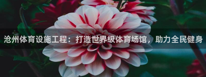意昂体育3招商：沧州体育设施工程：打造世界级体育场馆