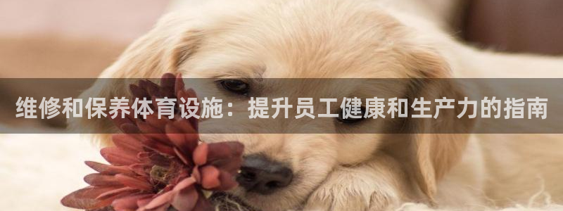 意昂体育3平台是正规平台吗知乎：维修和保养体育设施：