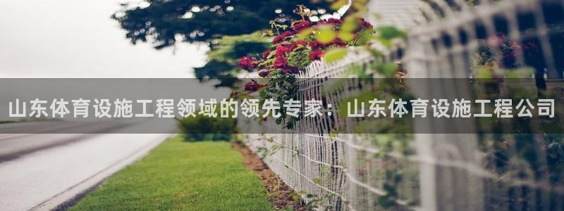意昂体育3官方客服电话：山东体育设施工程领域的领先专
