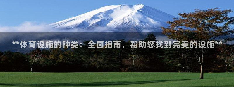 意昂3新能源：**体育设施的种类：全面指南，帮助您找