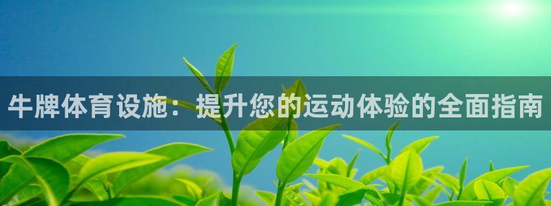 意昂3代理：牛牌体育设施：提升您的运动体验的全面指南