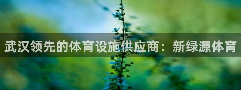 意昂体育3招商电话是多少号码：武汉领先的体育设施供应