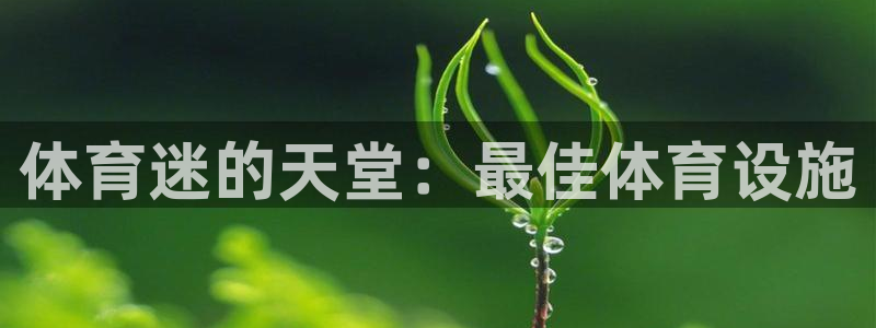 意昂3代理：体育迷的天堂：最佳体育设施