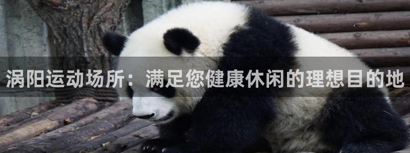 意昂3集团官网首页网址：涡阳运动场所：满足您健康休闲