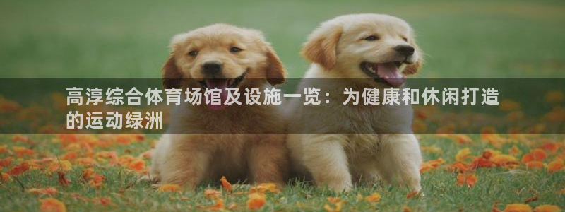 意昂体育3招商电话地址：高淳综合体育场馆及设施一览：
