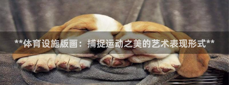 意昂体育3平台是正规平台吗知乎：**体育设施版画：捕