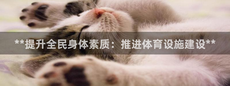 意昂体育3开户：**提升全民身体素质：推进体育设施建