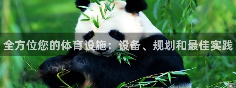 意昂3集团官网首页：全方位您的体育设施：设备、规划和