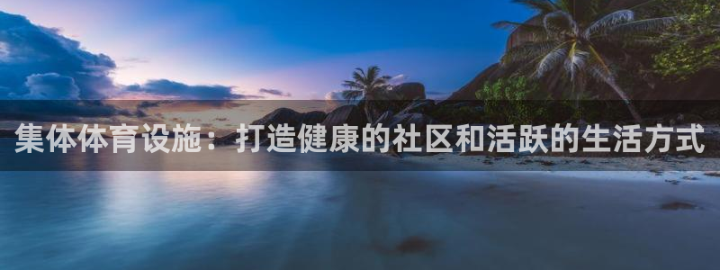 意昂体育3娱乐：集体体育设施：打造健康的社区和活跃的