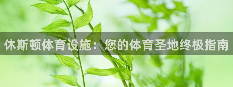 意昂3科技：休斯顿体育设施：您的体育圣地终极指南