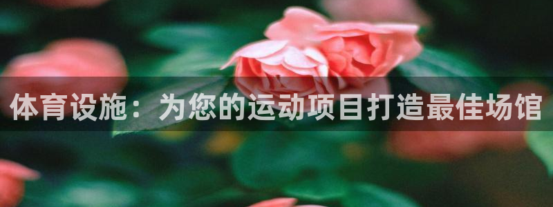意昂体育3平台注册：体育设施：为您的运动项目打造最佳