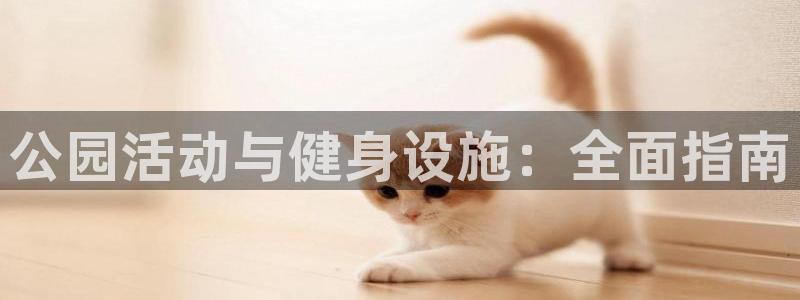 意昂3娱乐首页网站大全：公园活动与健身设施：全面指南
