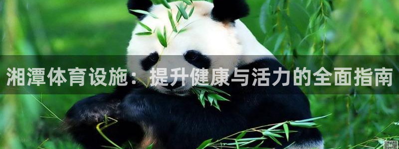 意昂体育3开户：湘潭体育设施：提升健康与活力的全面指