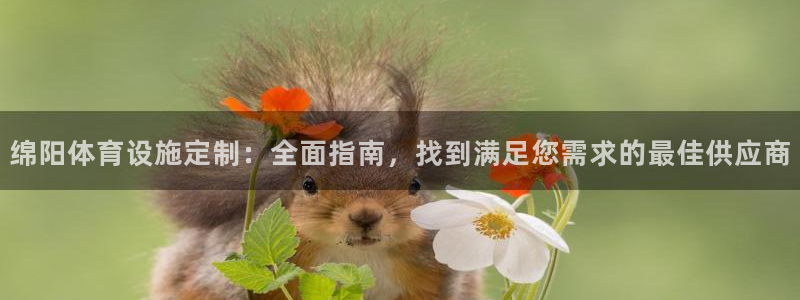 意昂3集团官网网址：绵阳体育设施定制：全面指南，找到