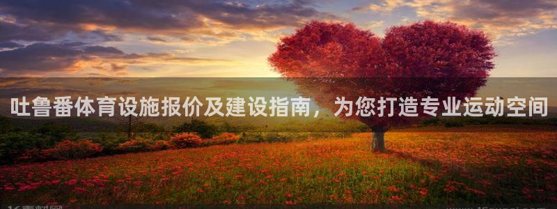 意昂3官方：吐鲁番体育设施报价及建设指南，为您打造专