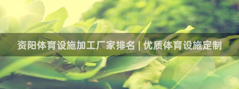 意昂体育3招商电话号码查询：资阳体育设施加工厂家排名