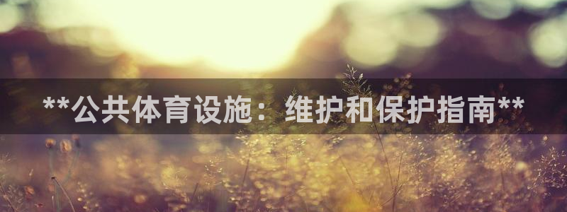 意昂3集团E.ON：**公共体育设施：维护和保护指南