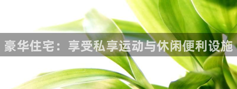 意昂体育3招商电话号码是多少号：豪华住宅：享受私享运
