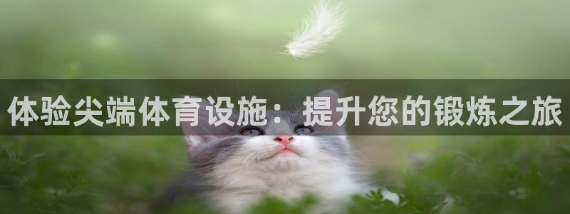意昂3代理：体验尖端体育设施：提升您的锻炼之旅