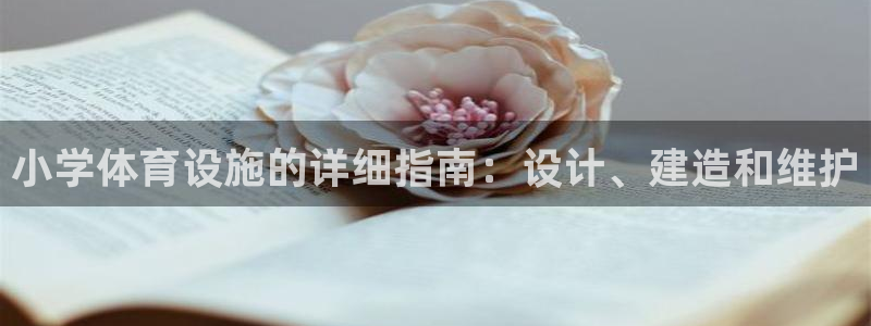 意昂3娱乐代理怎么样：小学体育设施的详细指南：设计、