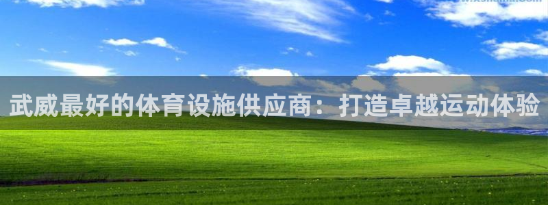 意昂3集团官网首页：武威最好的体育设施供应商：打造卓
