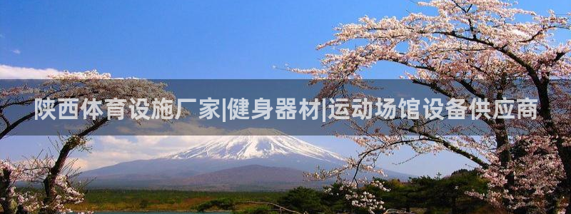 意昂集团官网：陕西体育设施厂家|健身器材|运动场馆设