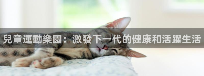 意昂3官方：兒童運動樂園：激發下一代的健康和活躍生活