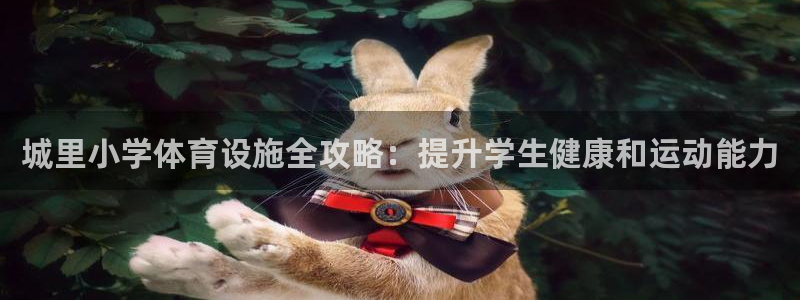 意昂体育3平台：城里小学体育设施全攻略：提升学生健康