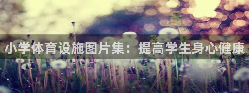 意昂体育3平台注册：小学体育设施图片集：提高学生身心