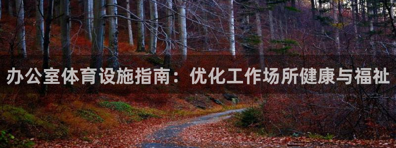 意昂体育3平台注册：办公室体育设施指南：优化工作场所