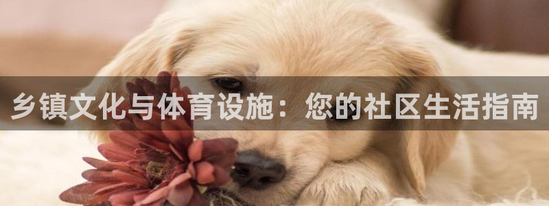 意昂体育3招商电话是多少：乡镇文化与体育设施：您的社