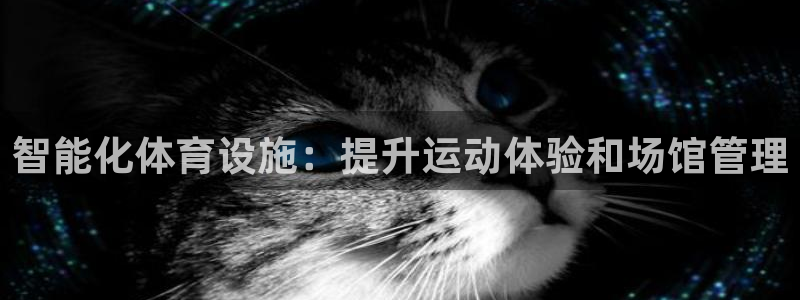 意昂3娱乐是那个系列的台子：智能化体育设施：提升运动