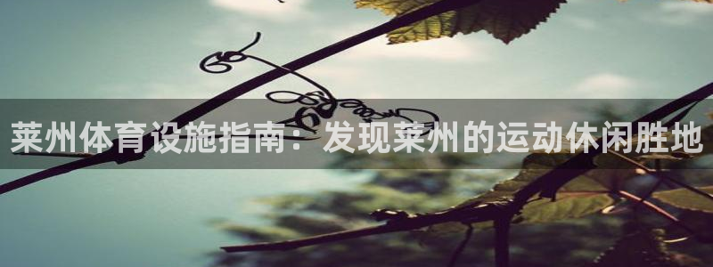 意昂3开户：莱州体育设施指南：发现莱州的运动休闲胜地