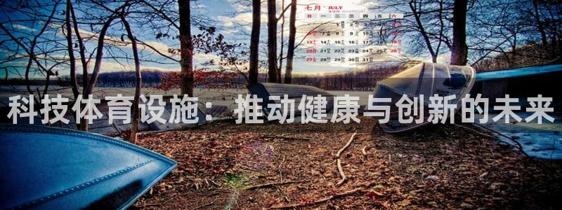 意昂体育3平台注册要钱吗安全吗：科技体育设施：推动健