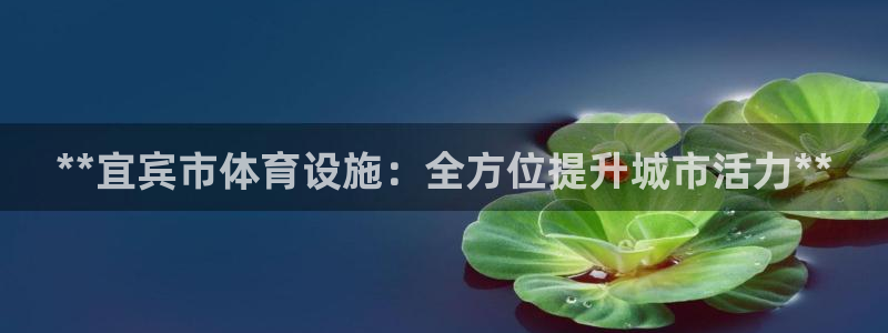意昂3集团E.ON：**宜宾市体育设施：全方位提升城