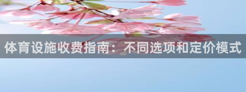 意昂体育3平台注册流程图：体育设施收费指南：不同选项