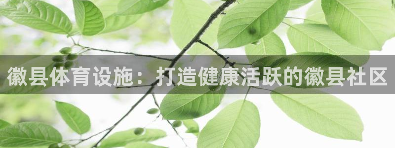意昂3新能源：徽县体育设施：打造健康活跃的徽县社区