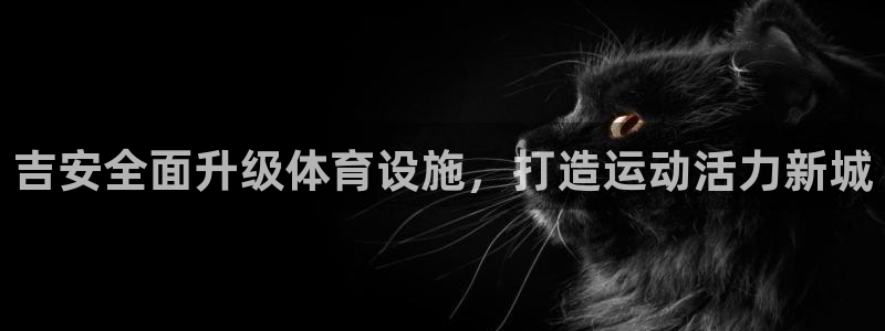 意昂平台体育：吉安全面升级体育设施，打造运动活力新城