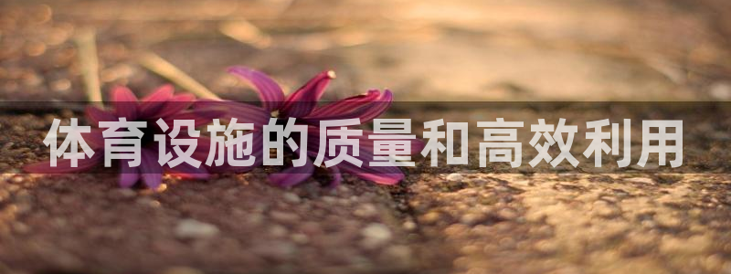 海南意昂体育3：体育设施的质量和高效利用