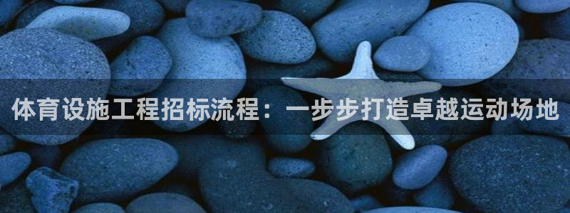 意昂体育3平台注册流程图：体育设施工程招标流程：一步