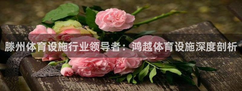 意昂3娱乐：滕州体育设施行业领导者：鸿越体育设施深度