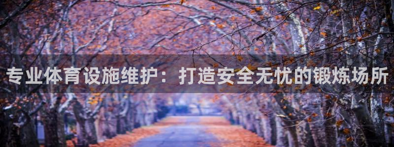 海南意昂体育3：专业体育设施维护：打造安全无忧的锻炼