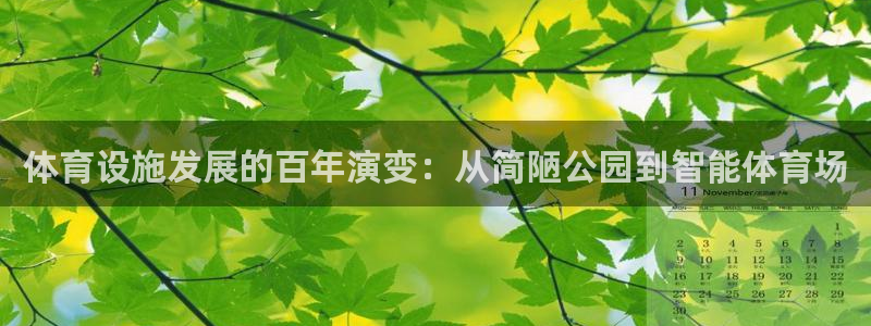 意昂体育3平台注册流程图：体育设施发展的百年演变：从