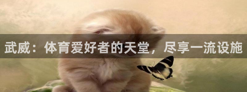 意昂3官方：武威：体育爱好者的天堂，尽享一流设施