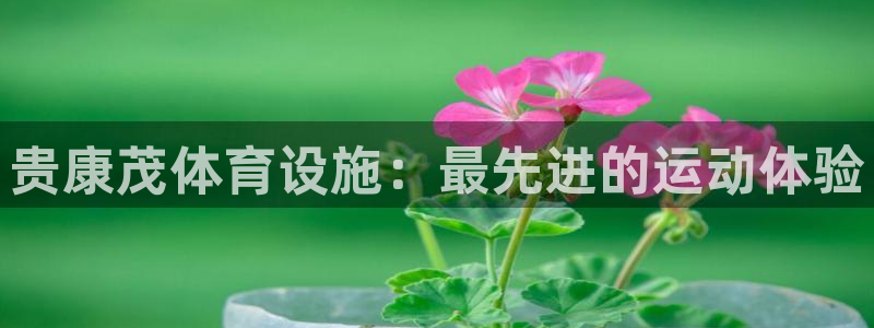 意昂体育3招商电话号码查询是多少：贵康茂体育设施：最