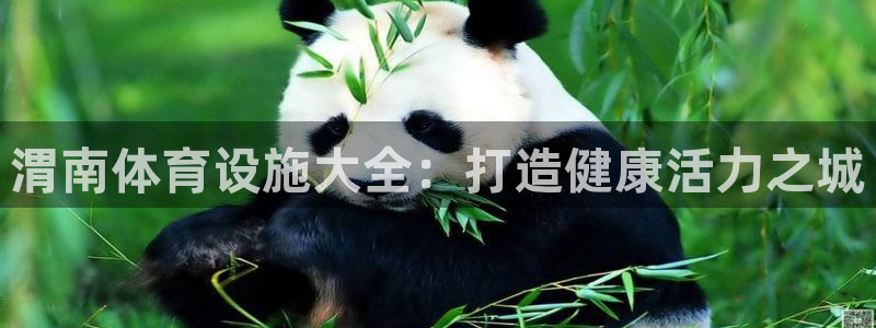 海南意昂体育3发展怎么样：渭南体育设施大全：打造健康