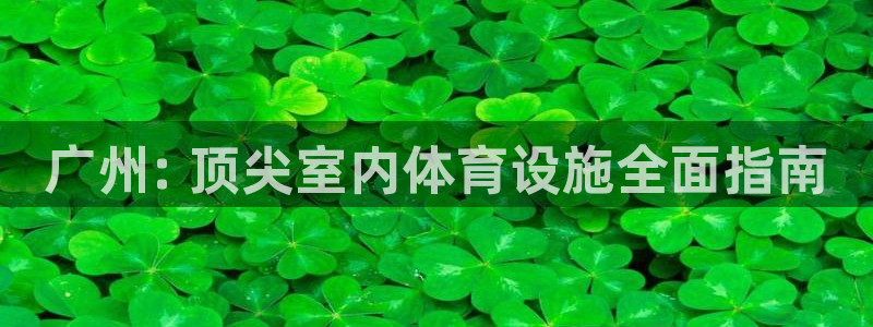 意昂体育3招商电话是多少号码：广州: 顶尖室内体育设